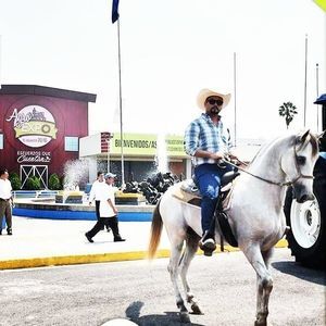 Meet your Posher, Roberto